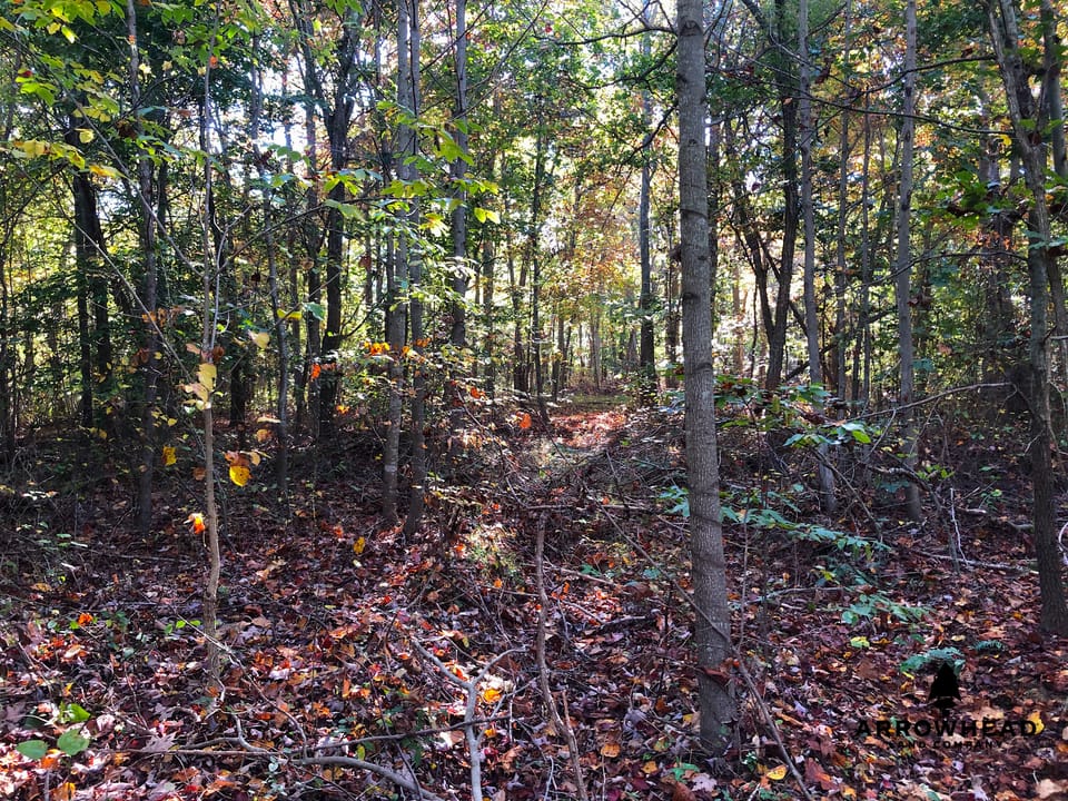 Blake Hollow Ridge