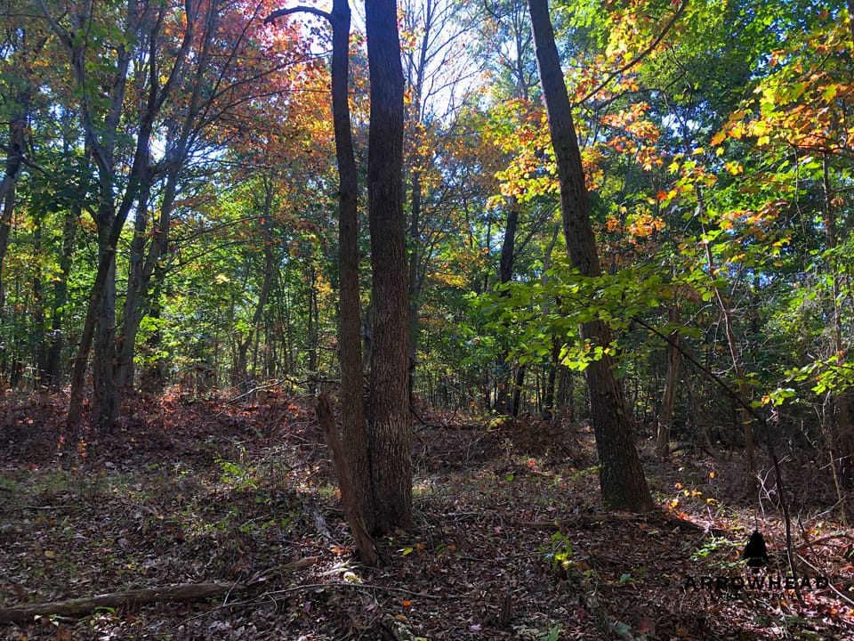 Blake Hollow Ridge