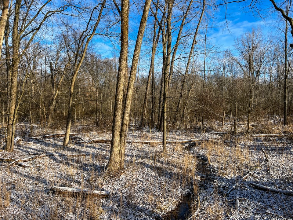 Township Road Escape