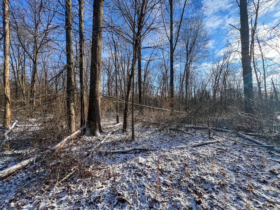 Township Road Escape