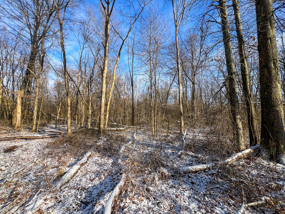 Township Road Escape