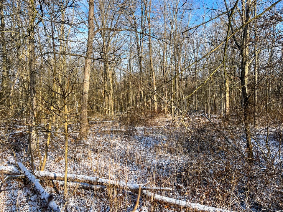 Township Road Escape