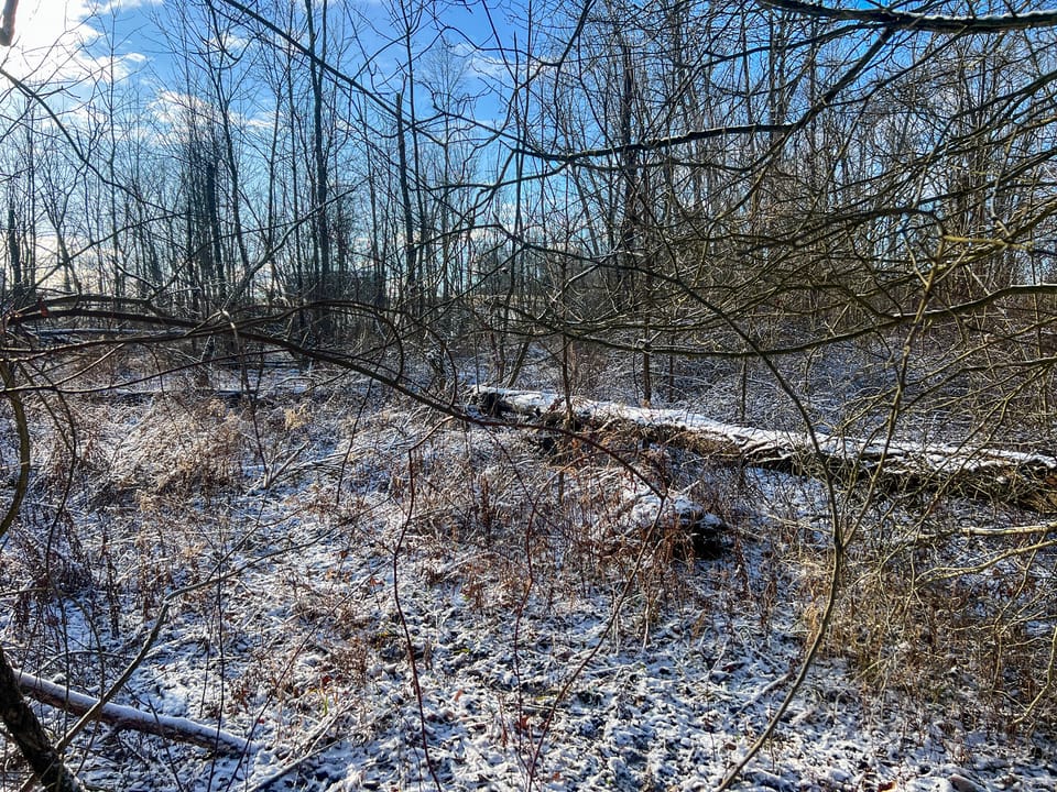 Township Road Escape