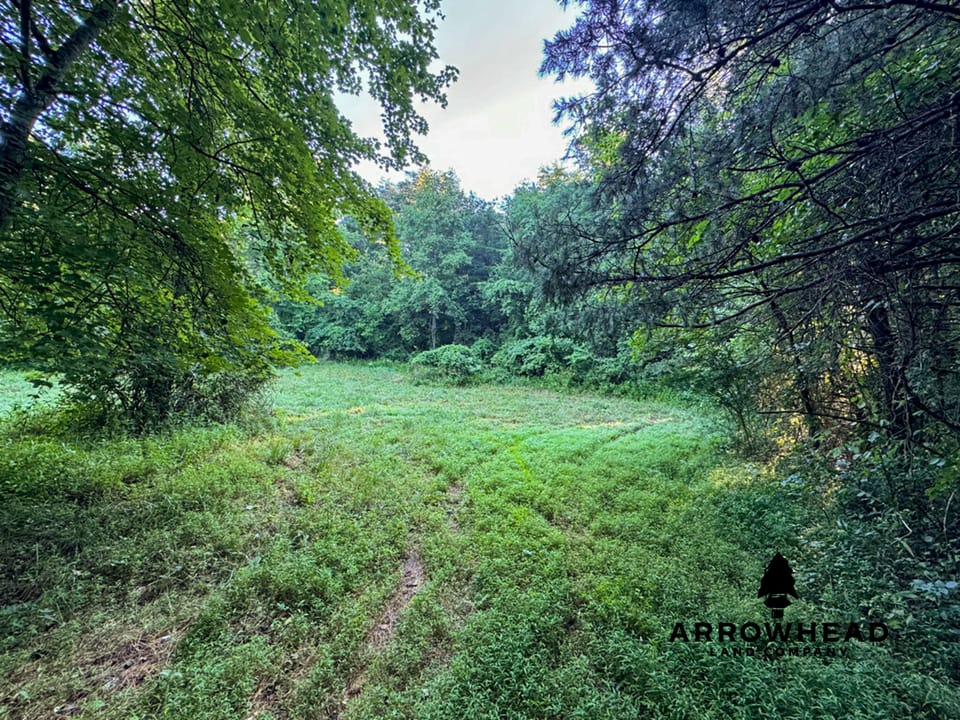 Tract 1 Diverse Hunting/Investment