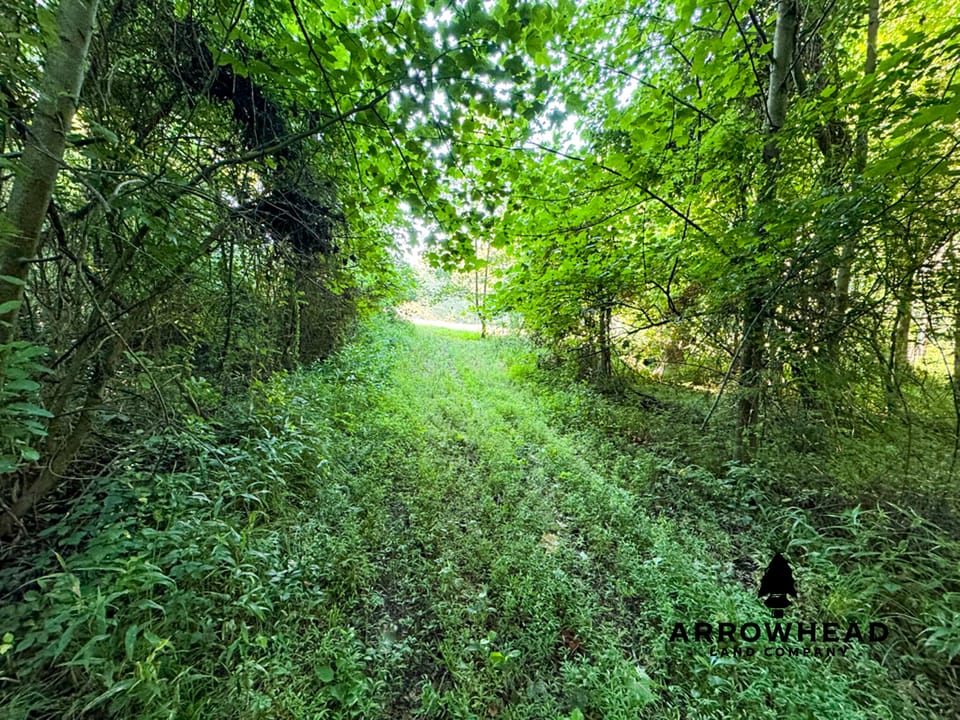 Tract 1 Diverse Hunting/Investment