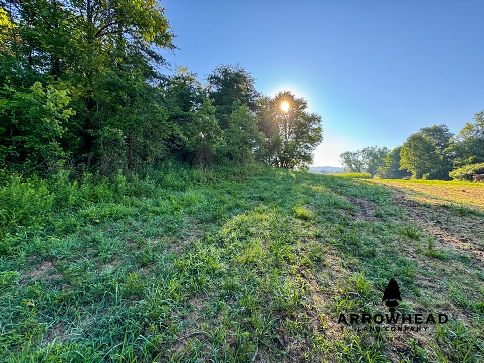 Tract 1 Diverse Hunting/Investment
