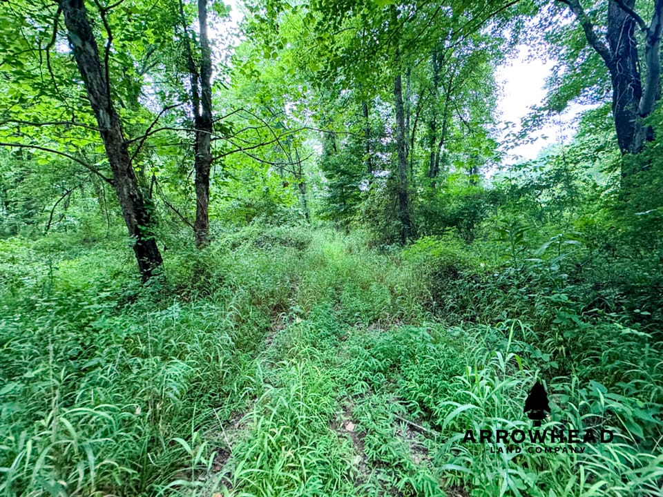 Tract 1 Diverse Hunting/Investment