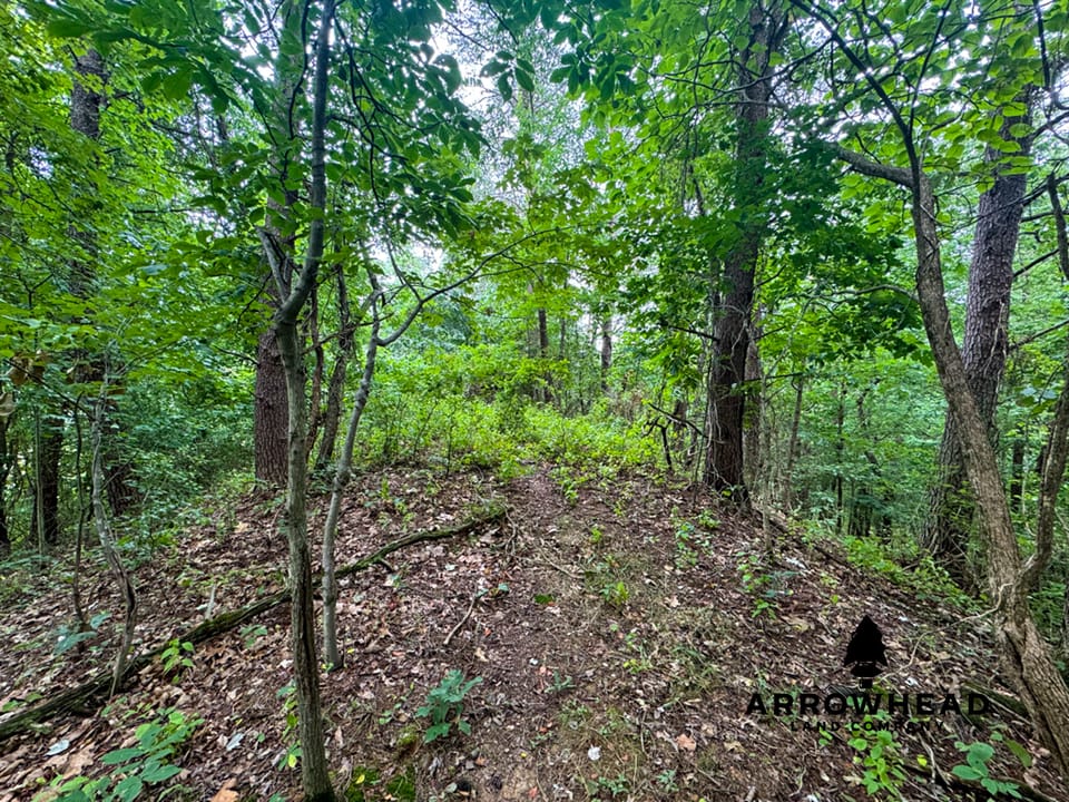 Tract 1 Diverse Hunting/Investment