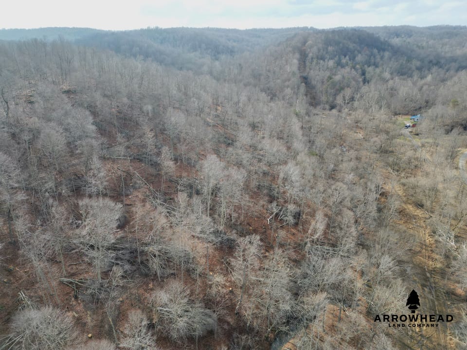 East Terrapin Hollow Hunting Land that Borders Wayne National Forest