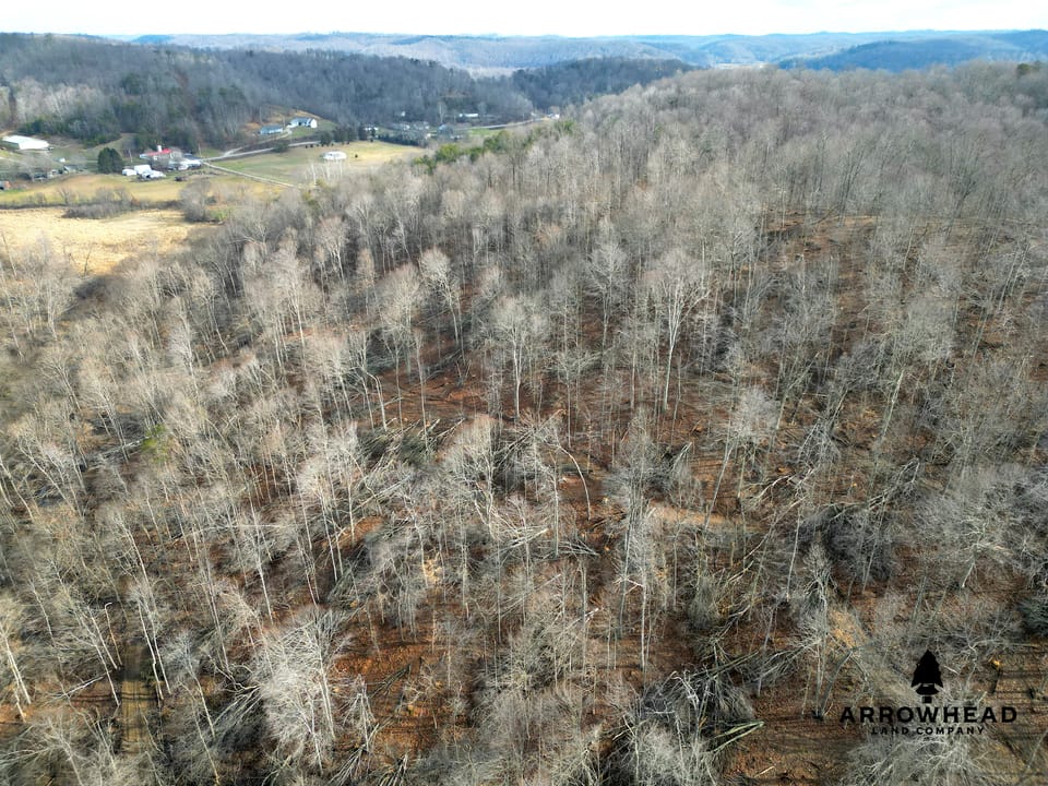 East Terrapin Hollow Hunting Land that Borders Wayne National Forest
