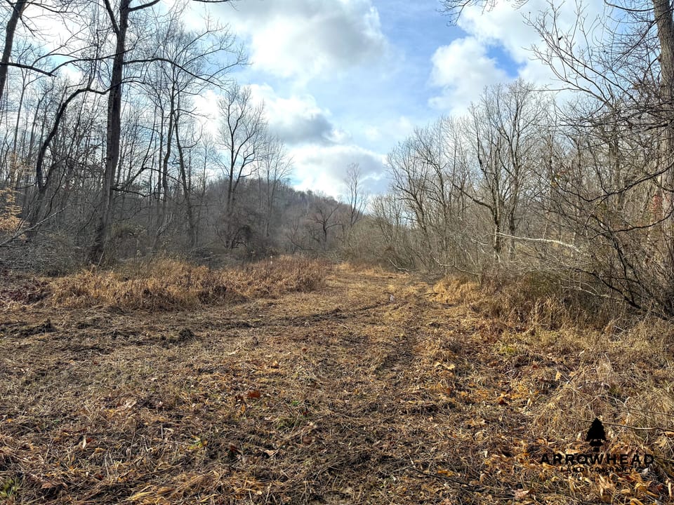 East Terrapin Hollow Hunting Land that Borders Wayne National Forest