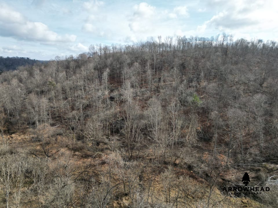 East Terrapin Hollow Hunting Land that Borders Wayne National Forest