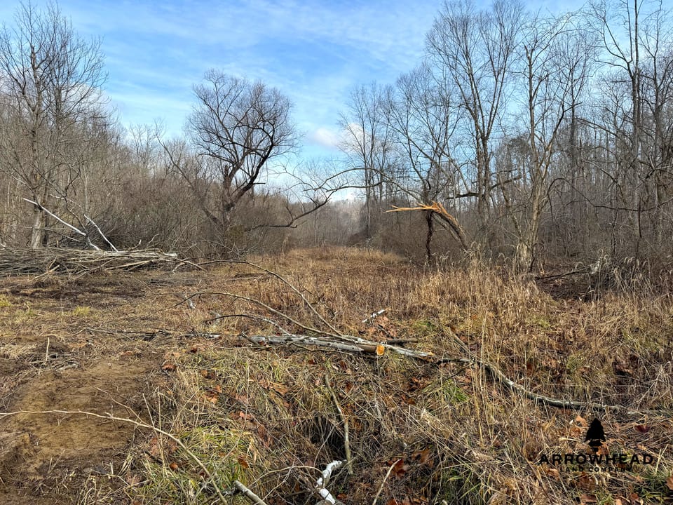 East Terrapin Hollow Hunting Land that Borders Wayne National Forest