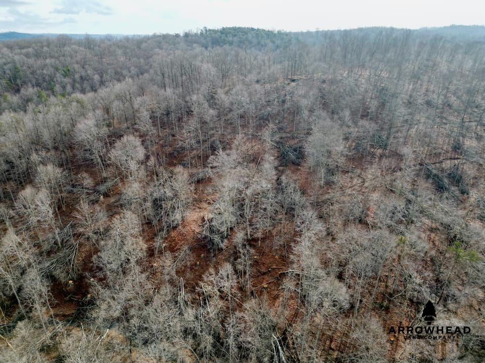 East Terrapin Hollow Hunting Land that Borders Wayne National Forest