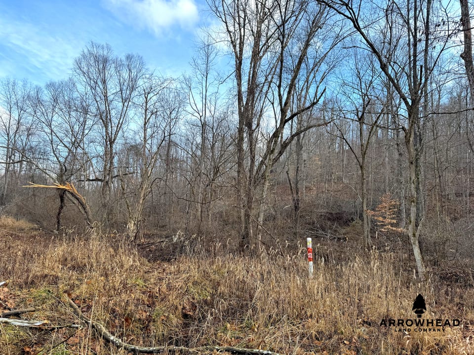 East Terrapin Hollow Hunting Land that Borders Wayne National Forest