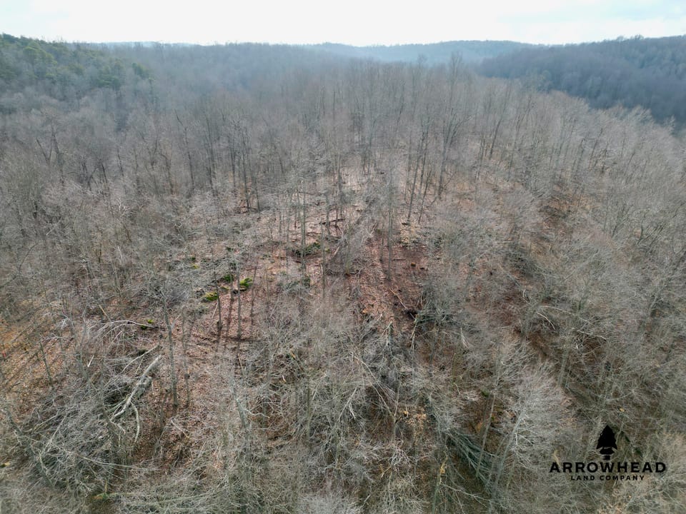East Terrapin Hollow Hunting Land that Borders Wayne National Forest