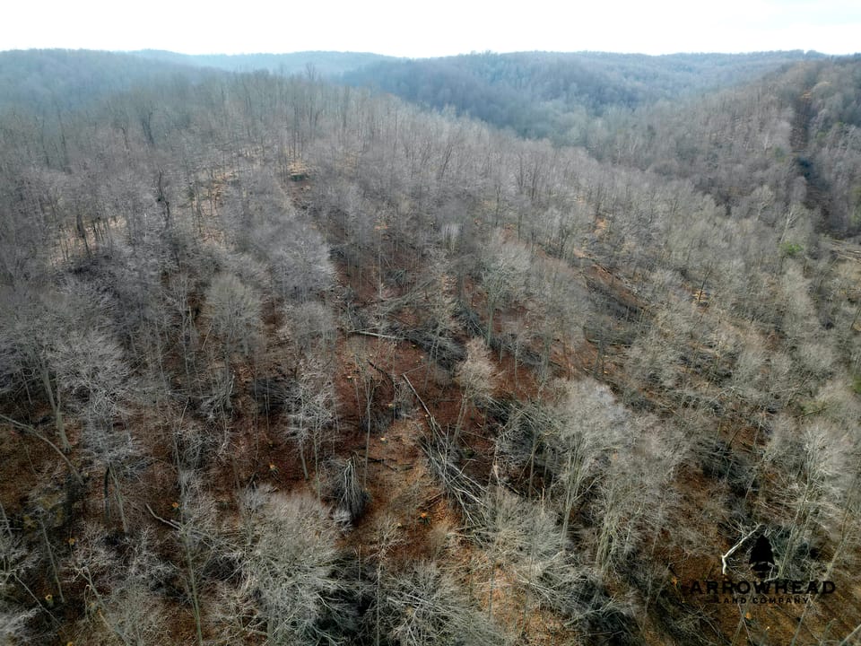East Terrapin Hollow Hunting Land that Borders Wayne National Forest