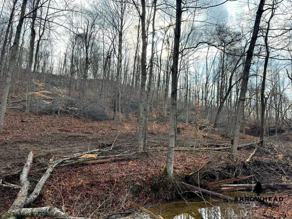 East Terrapin Hollow Hunting Land that Borders Wayne National Forest