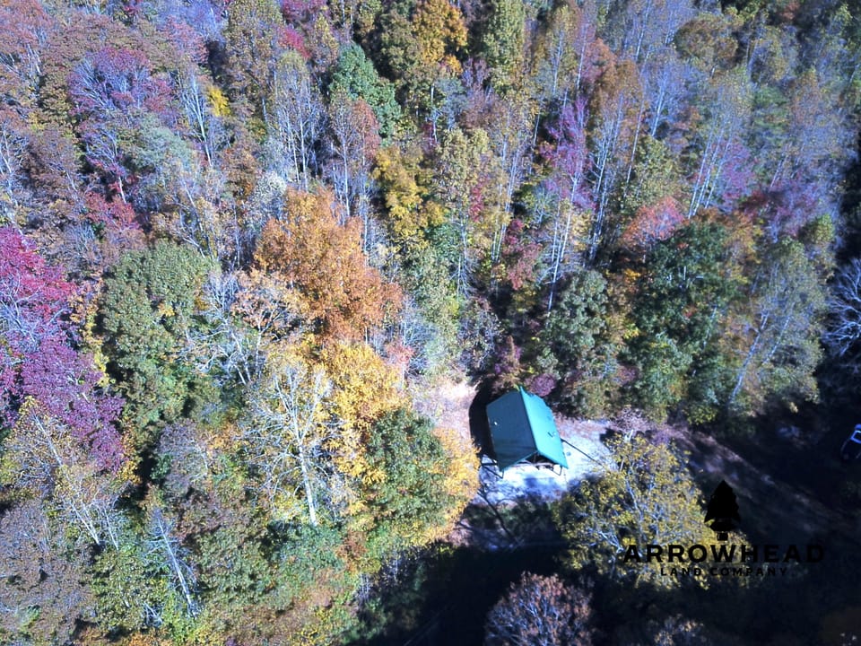Mountain Cabin Property