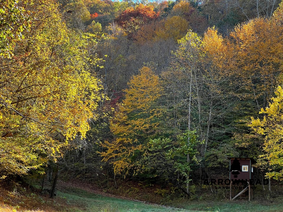 Mountain Cabin Property