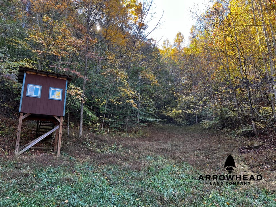 Mountain Cabin Property