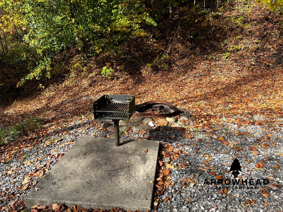 Mountain Cabin Property