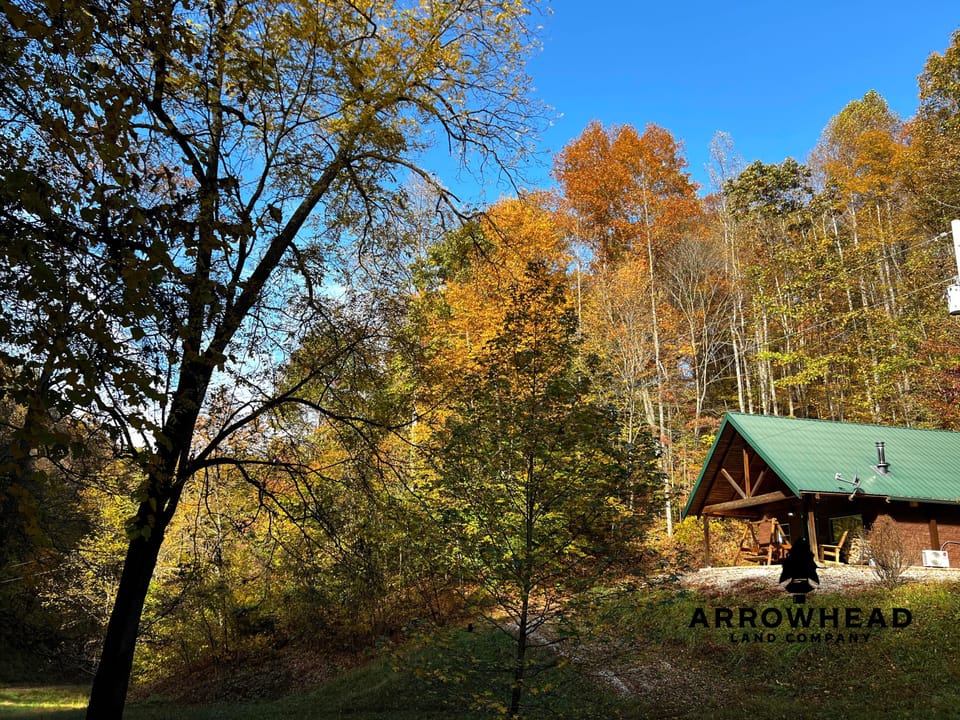 Mountain Cabin Property