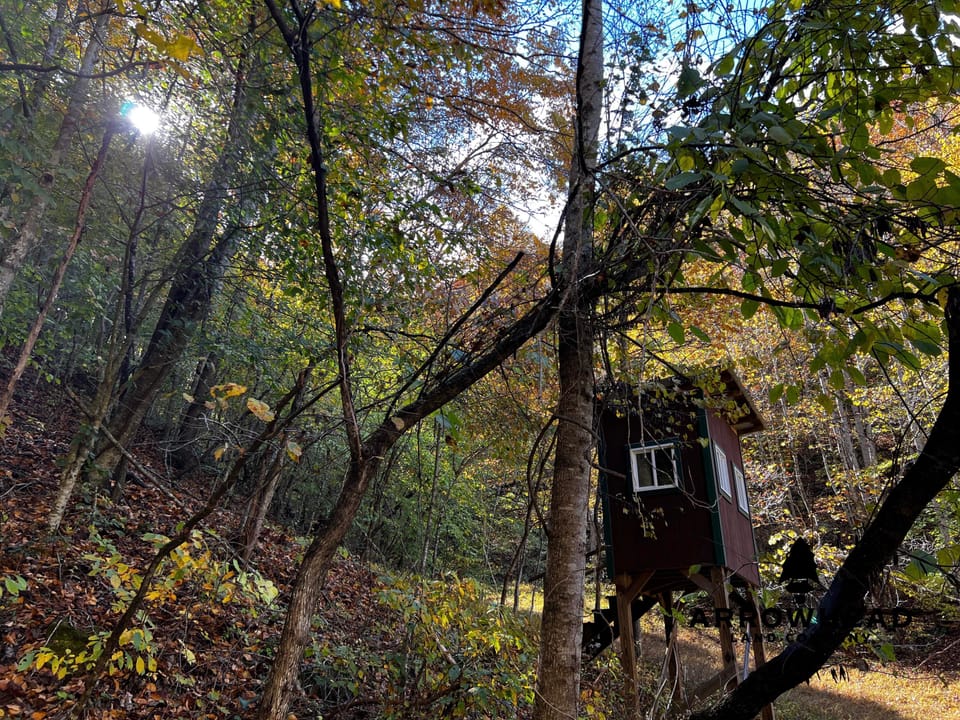 Mountain Cabin Property