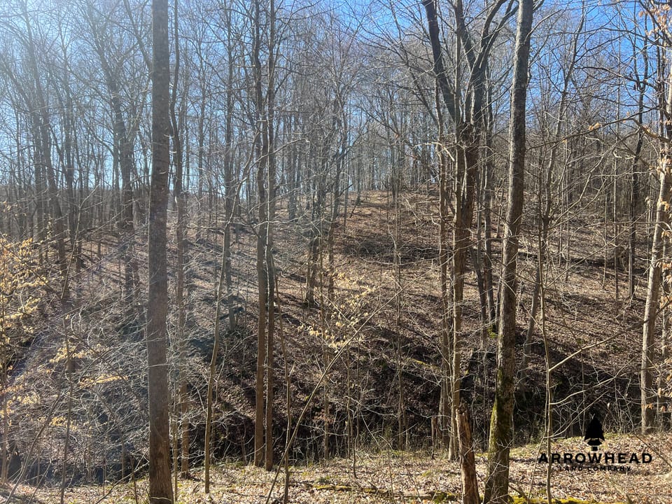 Hunting Tract with Additional Build Lot