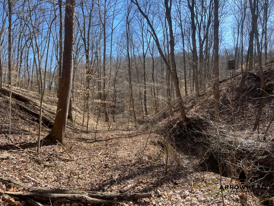 Hunting Tract with Additional Build Lot