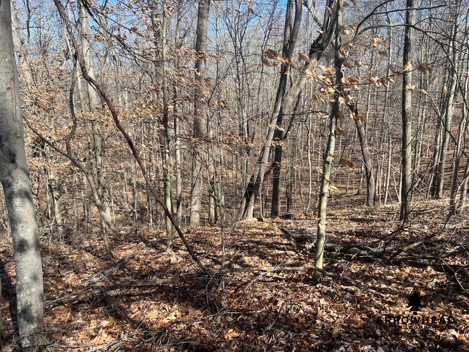 Hunting Tract with Additional Build Lot