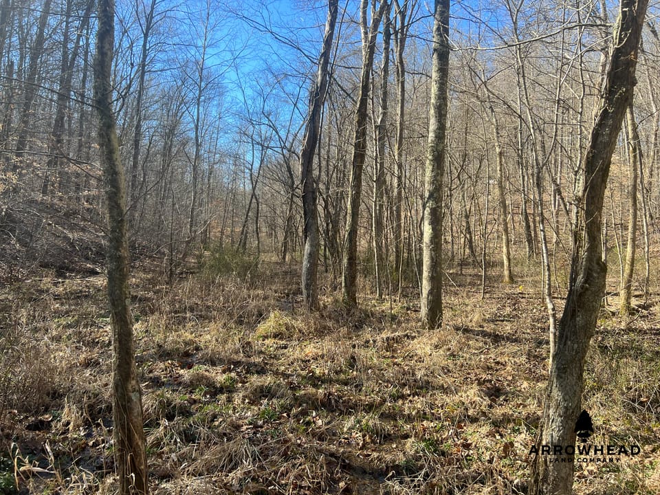 Hunting Tract with Additional Build Lot