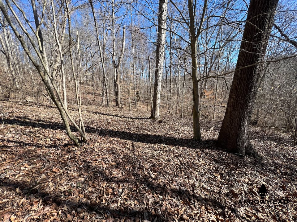 Hunting Tract with Additional Build Lot