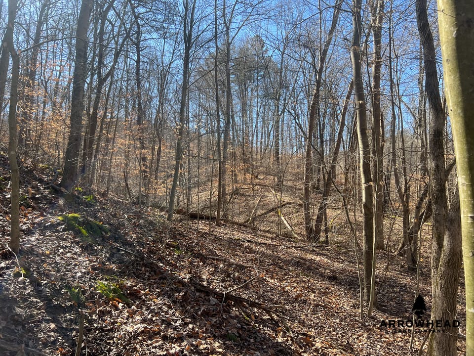 Hunting Tract with Additional Build Lot