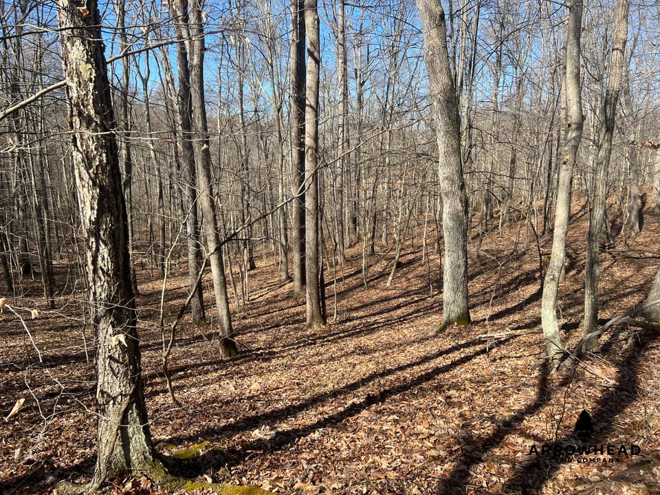 Hunting Tract with Additional Build Lot