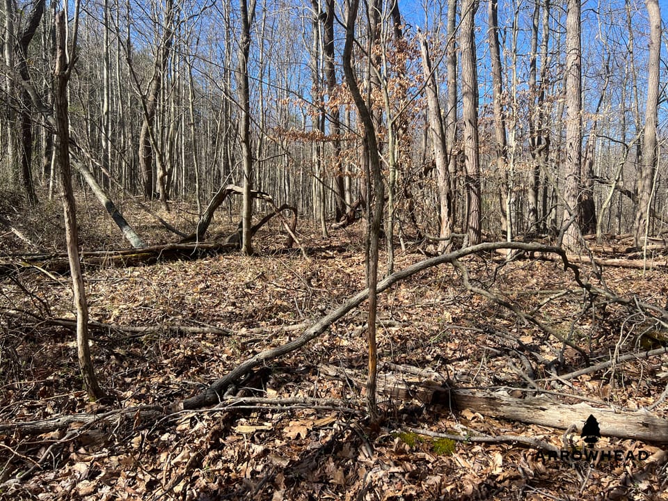 Hunting Tract with Additional Build Lot