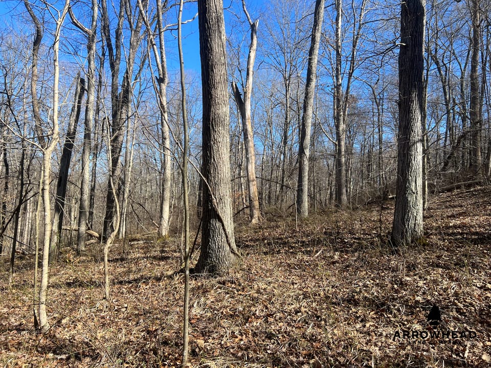 Hunting Tract with Additional Build Lot
