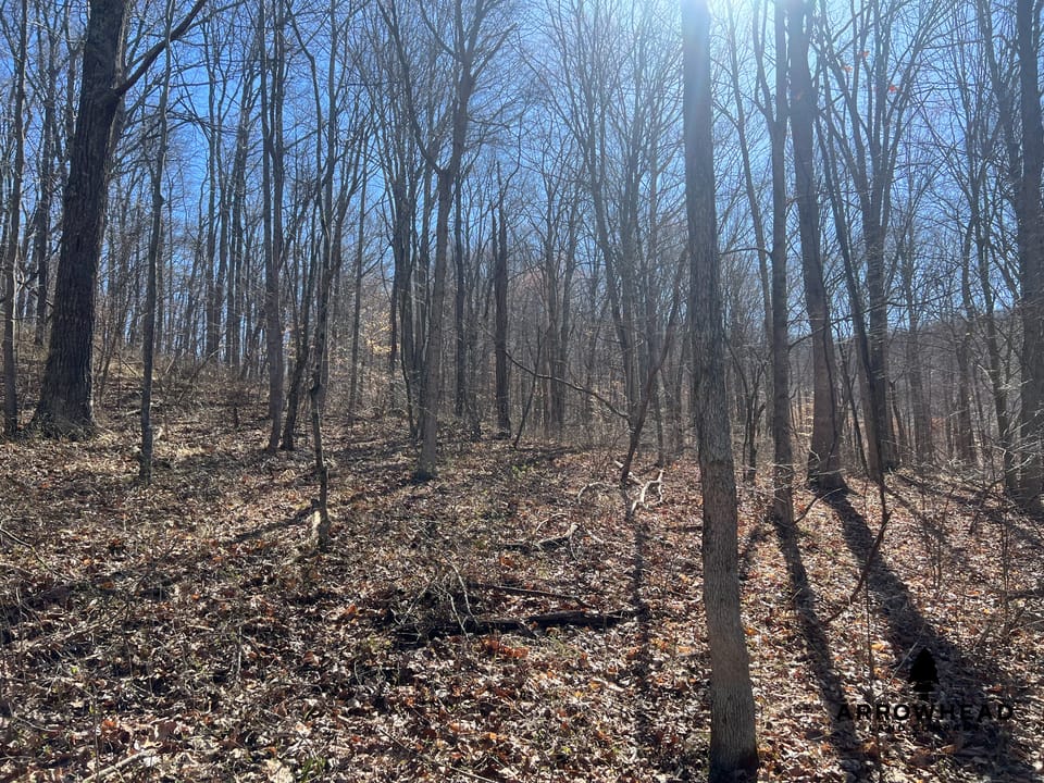 Hunting Tract with Additional Build Lot