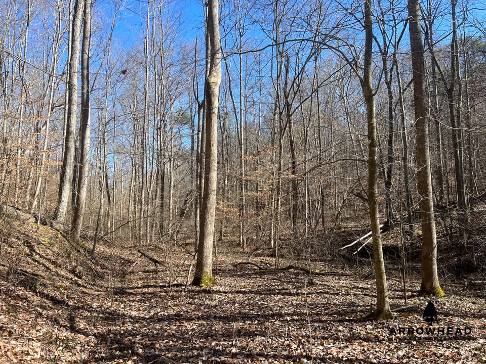 Hunting Tract with Additional Build Lot