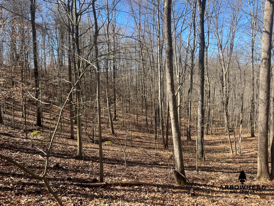 Hunting Tract with Additional Build Lot