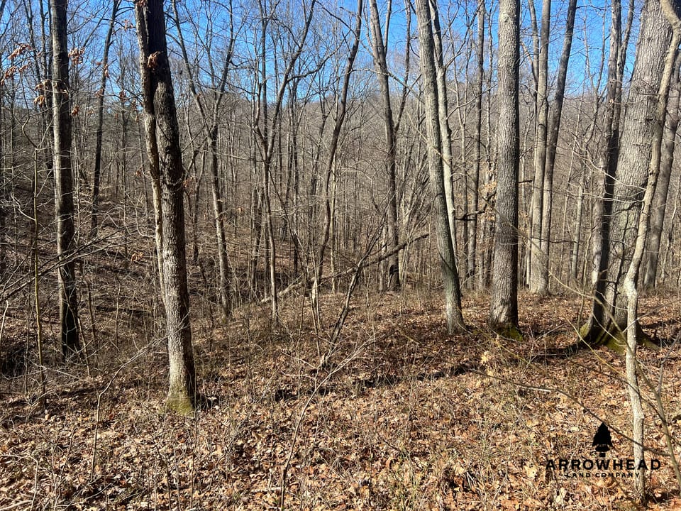 Hunting Tract with Additional Build Lot