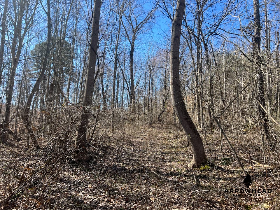 Hunting Tract with Additional Build Lot