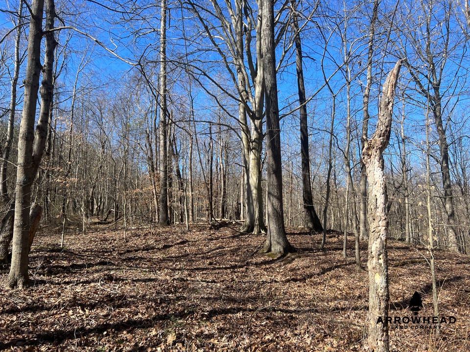 Hunting Tract with Additional Build Lot
