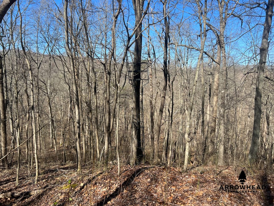 Hunting Tract with Additional Build Lot