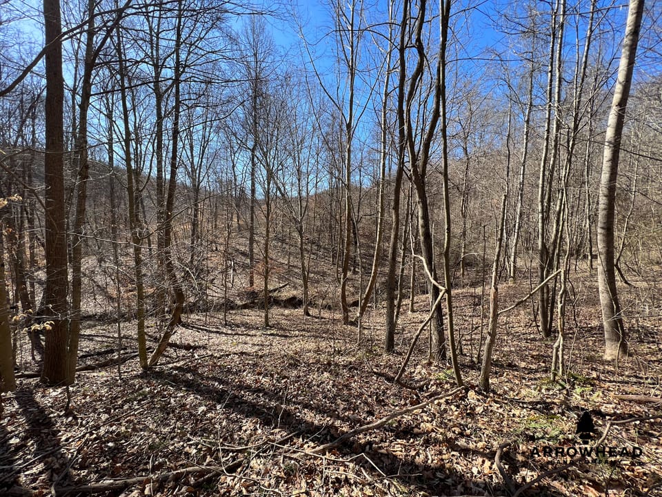 Hunting Tract with Additional Build Lot