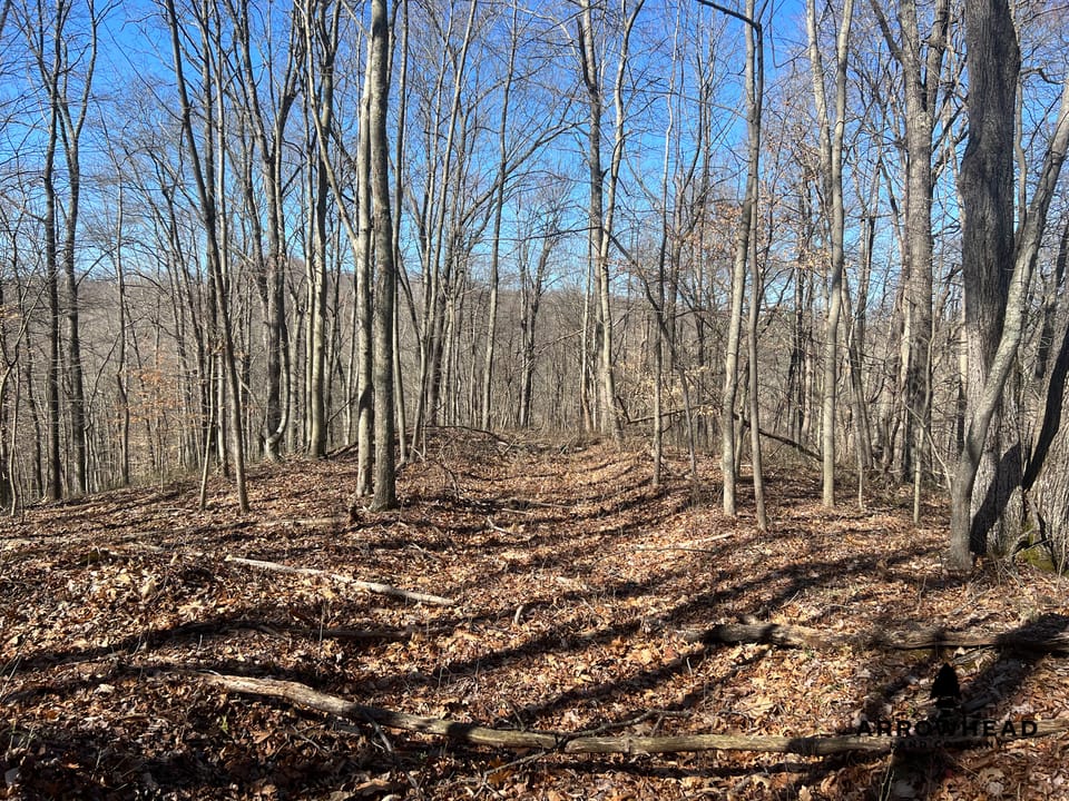 Hunting Tract with Additional Build Lot