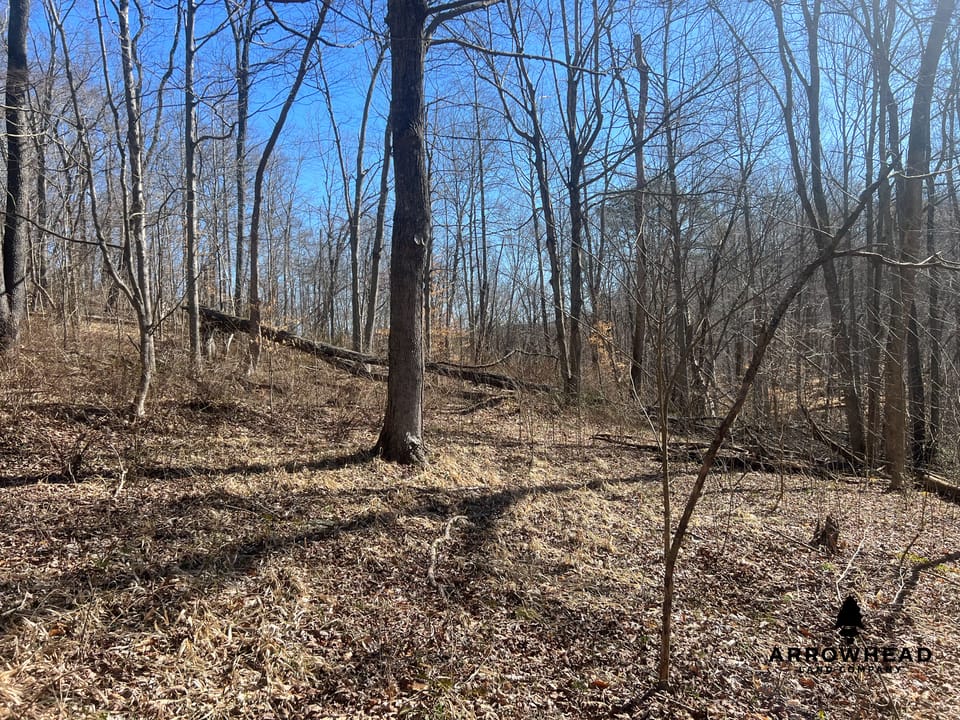 Hunting Tract with Additional Build Lot