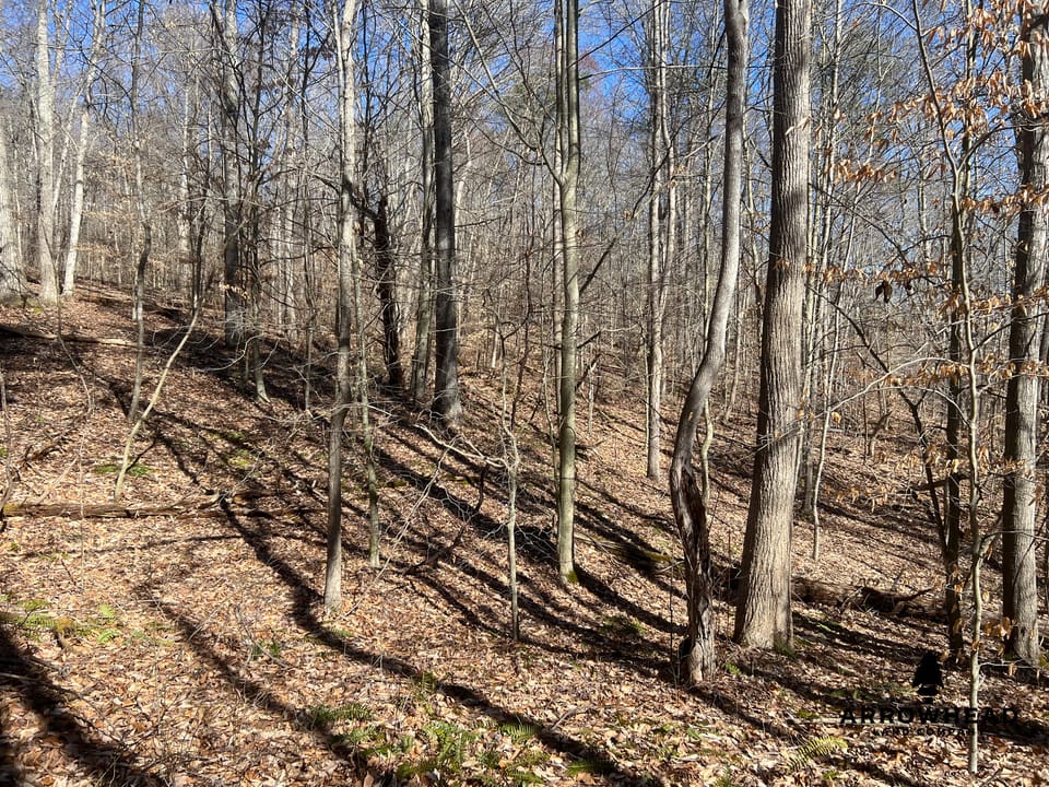 Hunting Tract with Additional Build Lot