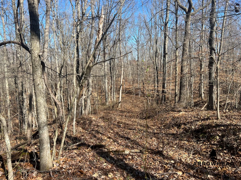Hunting Tract with Additional Build Lot