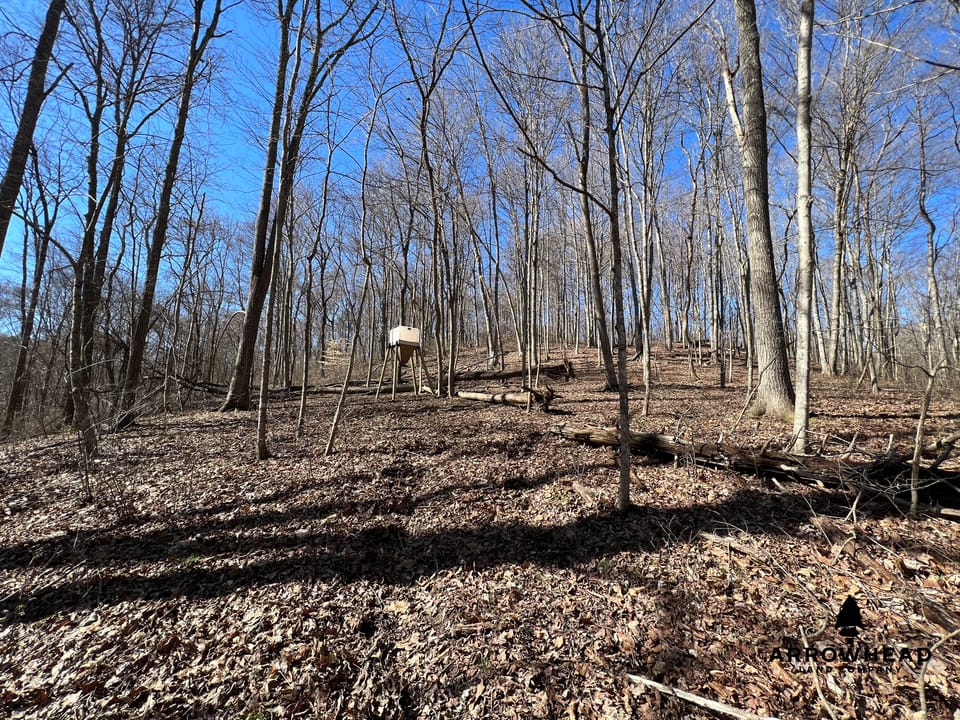 Hunting Tract with Additional Build Lot